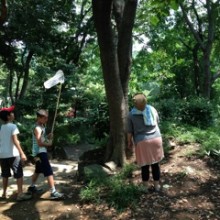 森の中は大分すずしい！