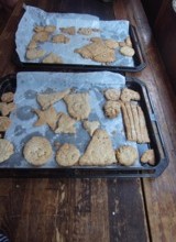 140730_cookies02