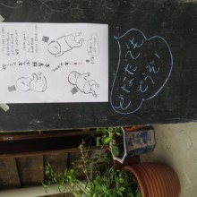 160621_e68ab1e381a3e38193e381abe3818ae38293e381b5e38299_3