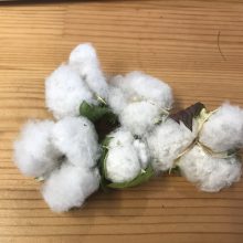 EAAE3A13-856B-4EF4-88F9-5B491F2BDECE