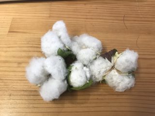 EAAE3A13-856B-4EF4-88F9-5B491F2BDECE