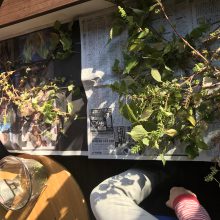 EA80F9B4-E402-480F-B1CD-A9D1C2C22CFF