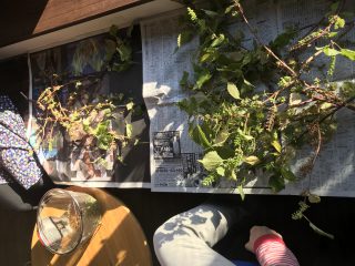 EA80F9B4-E402-480F-B1CD-A9D1C2C22CFF