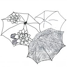 傘２