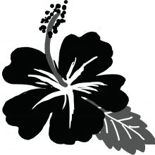 ハイビスカス のコピー