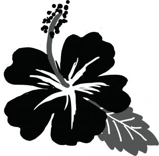 ハイビスカス のコピー